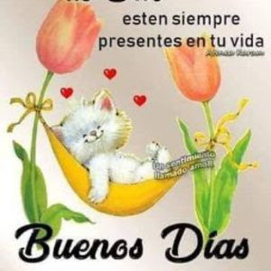 Meet your Posher, Gaby